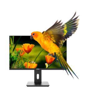 MONITOR 24 DISPLAYPORT HDMI VGA NILOX NXM24REG02   FHD 1920x